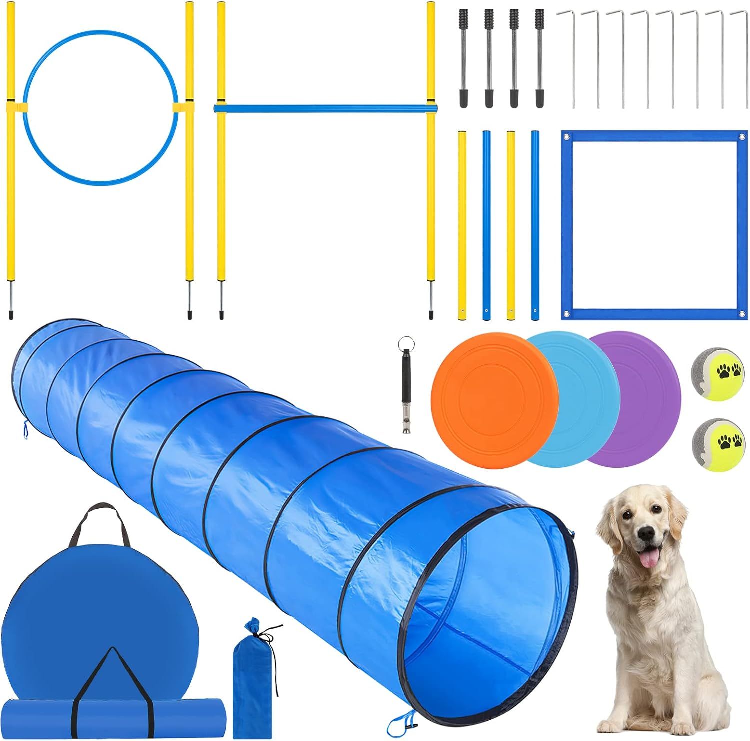 Dog agility training kit with tunnel, jumps, and a golden retriever.