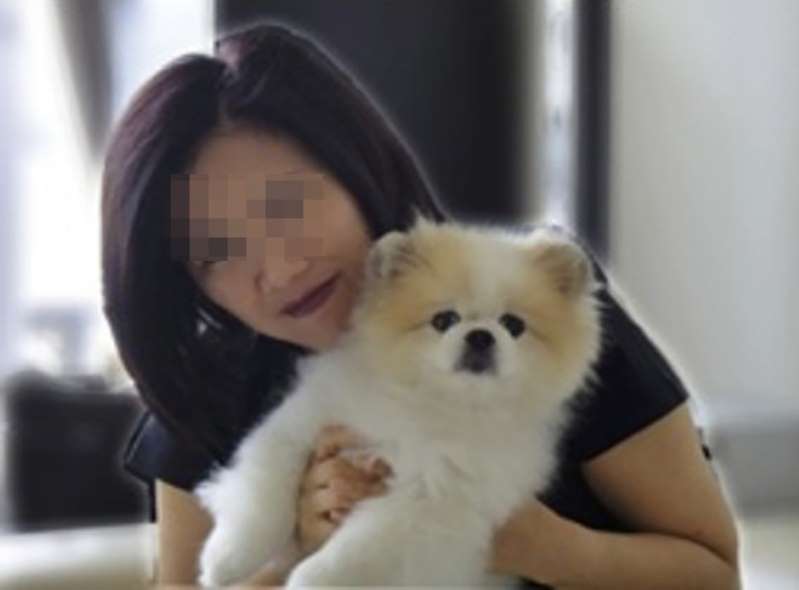 A Pomeranian Infected With Coronavirus