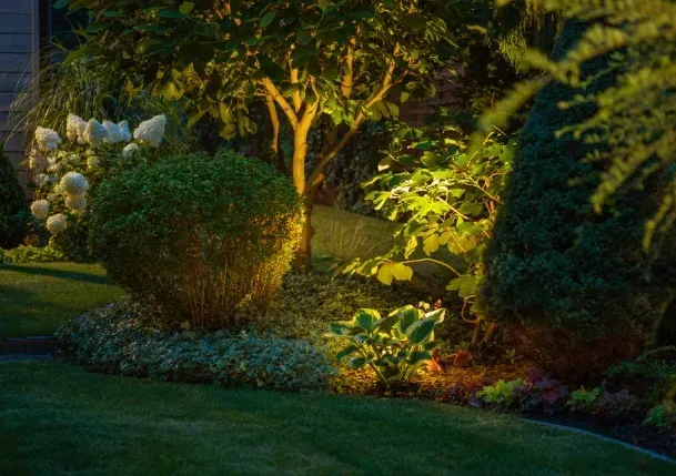 Landscape Lighting
