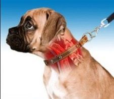 how to work a choke collar