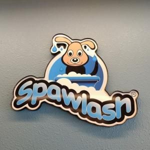 Spawlash