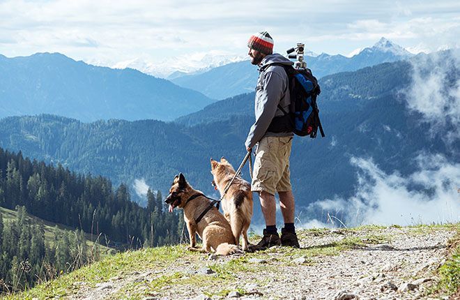 Our favourite DOG FRIENDLY HIKING TRAILS