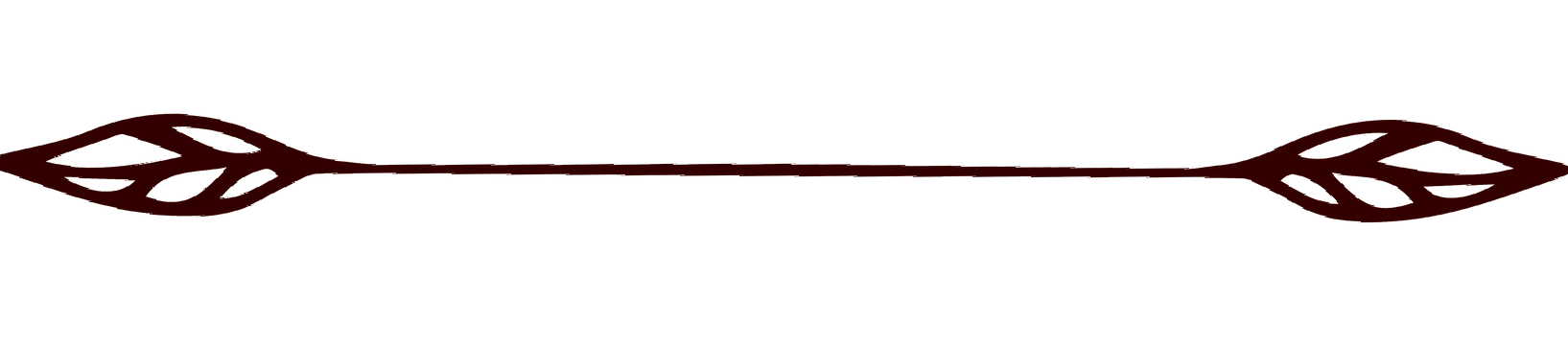 Brown line with leaf-shaped decorations on each end.