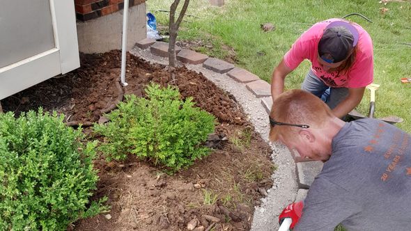 Two people install a brick border around a landscaped garden bed. The garden contains small green bushes, dark mulch.