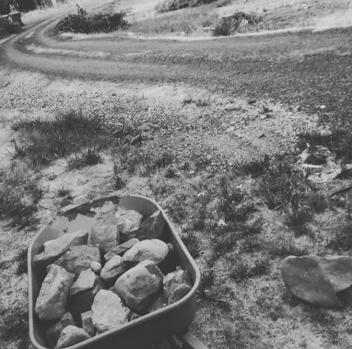 Wheelbarrow filled with rocks on a grassy area beside a dirt road winding up a hill. Black and white.