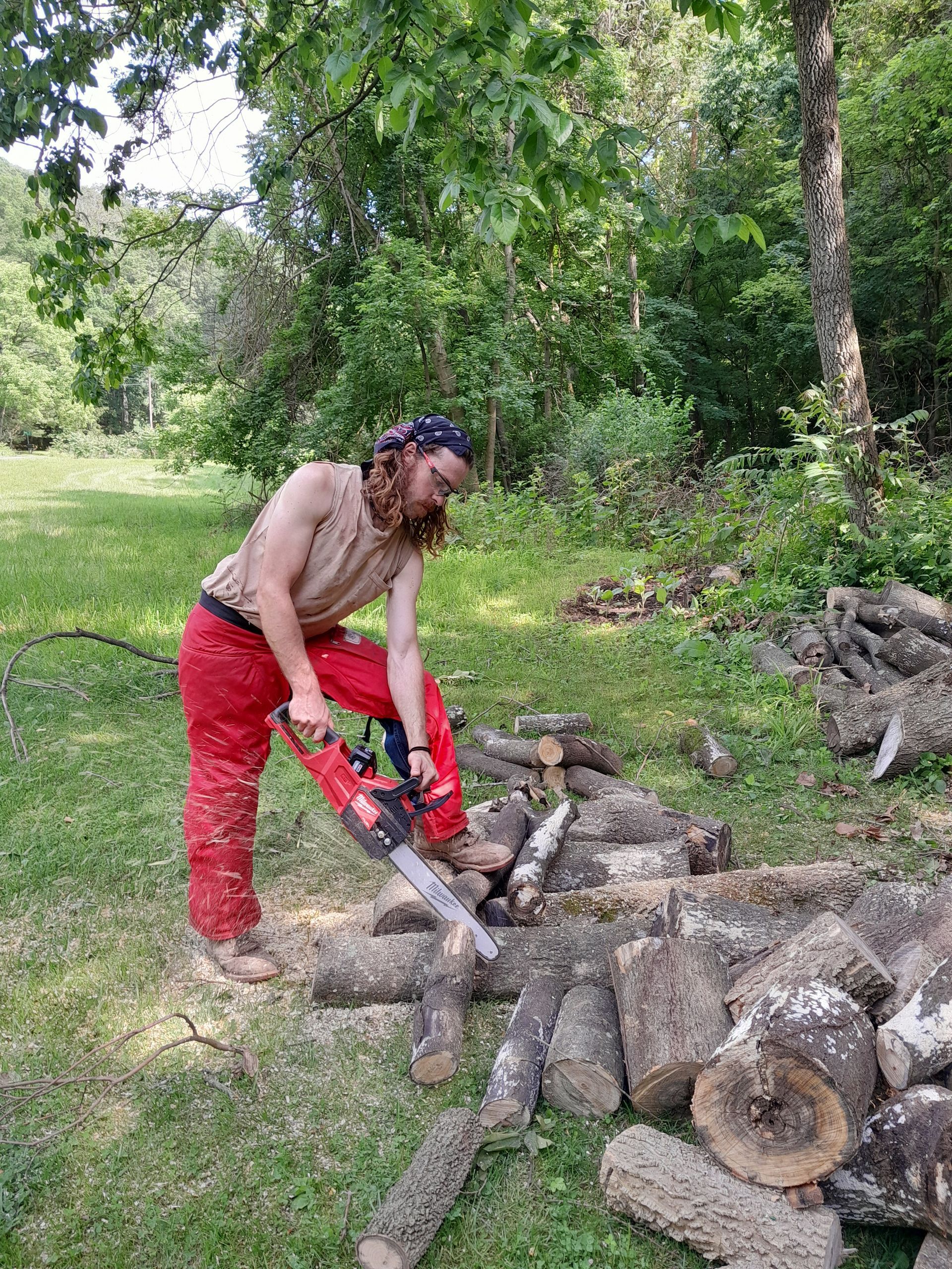 Man in red pants cuts firewood with a chainsaw in a grassy area with trees.
