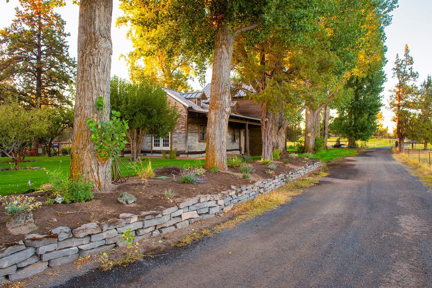 A house is sitting on the side of a dirt road surrounded by trees.
