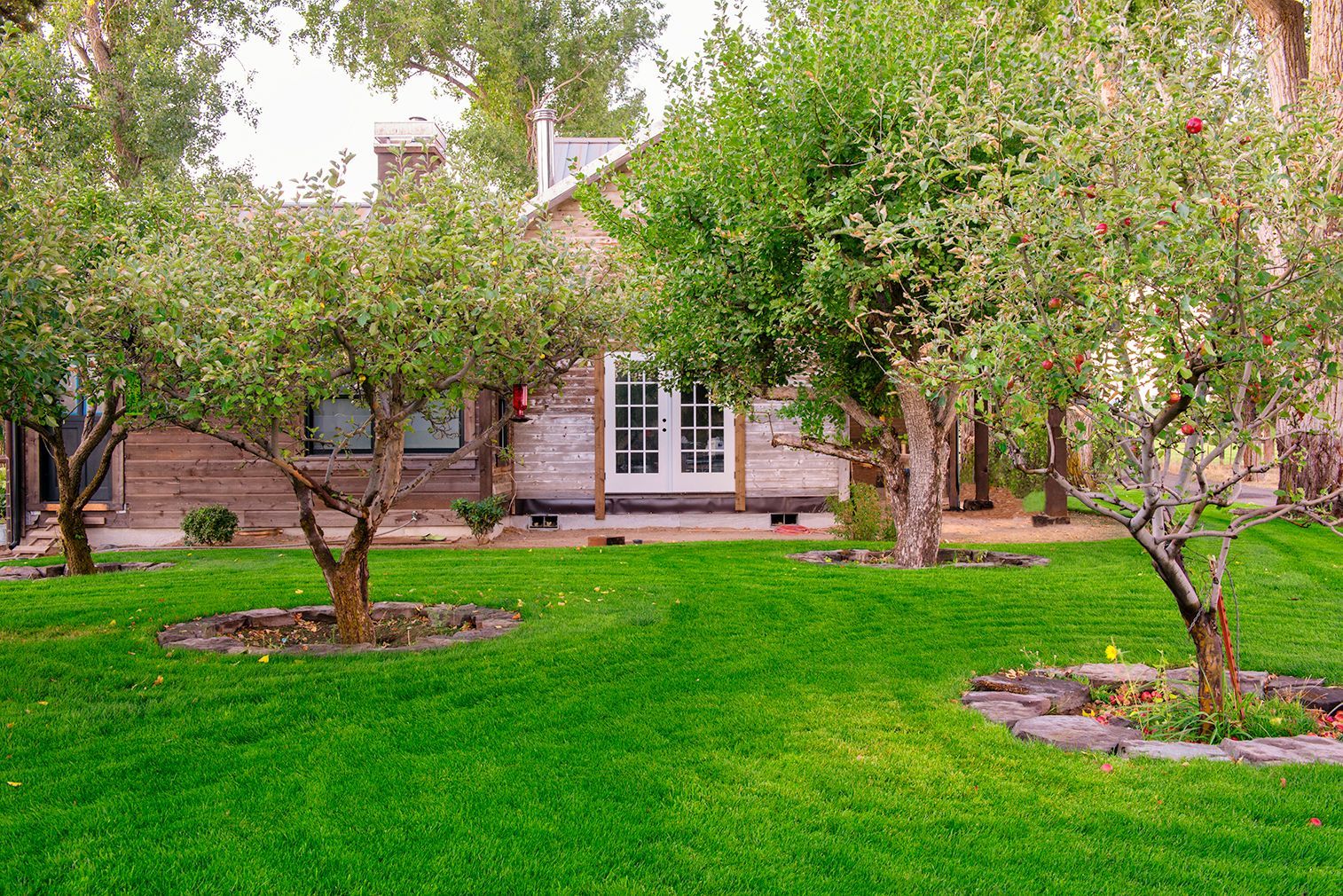 A house with a lush green lawn and trees in front of it.