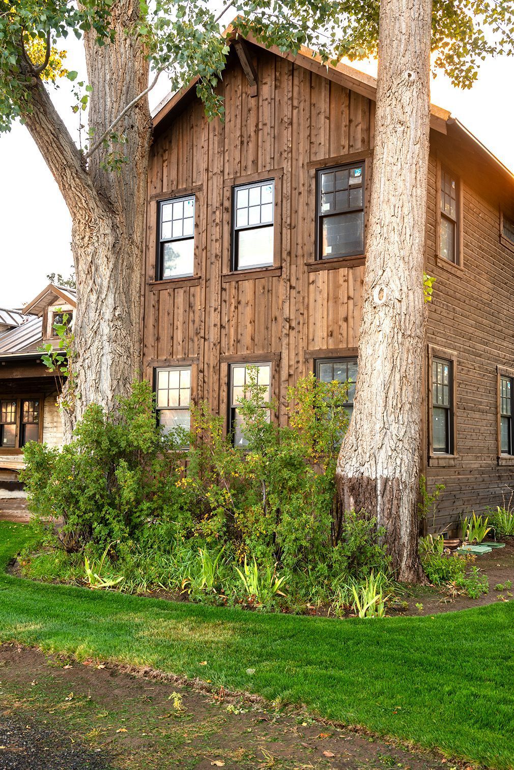 A large wooden house with a tree in front of it.