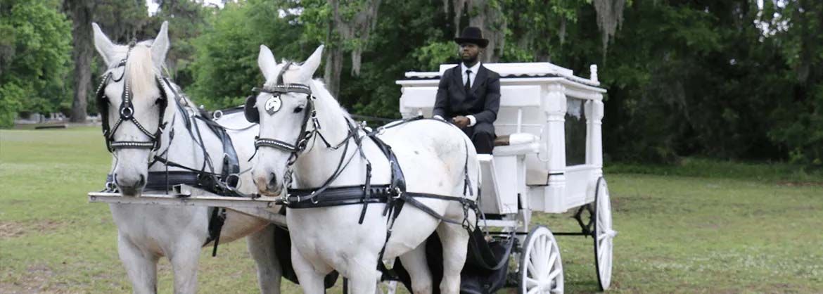 A man is driving a horse drawn carriage in a field.