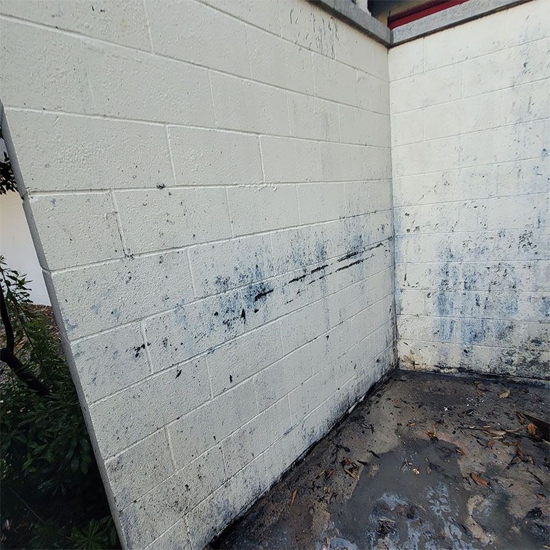 White cinder block wall with dark stains and pooling water at the base, forming an exterior corner.