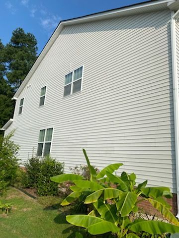 Side of a two-story house with light gray siding and multiple windows. Green plants and grass in front.