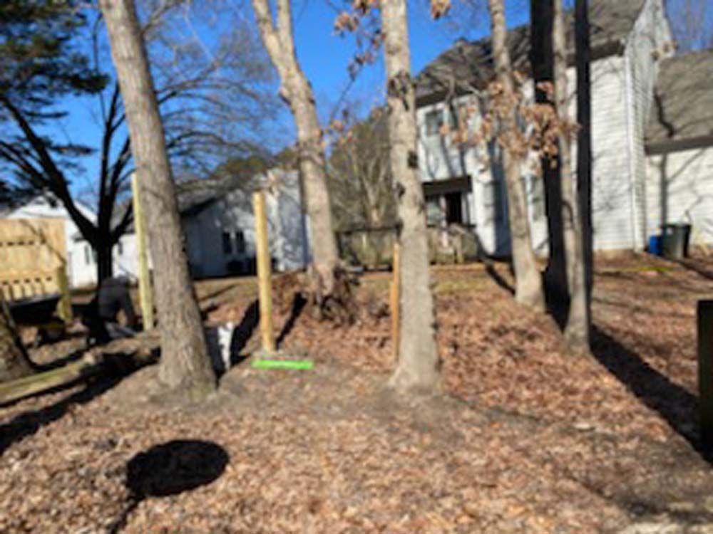 Trees in front of a two-story house, with a wooden fence to the left, on a sunny day.