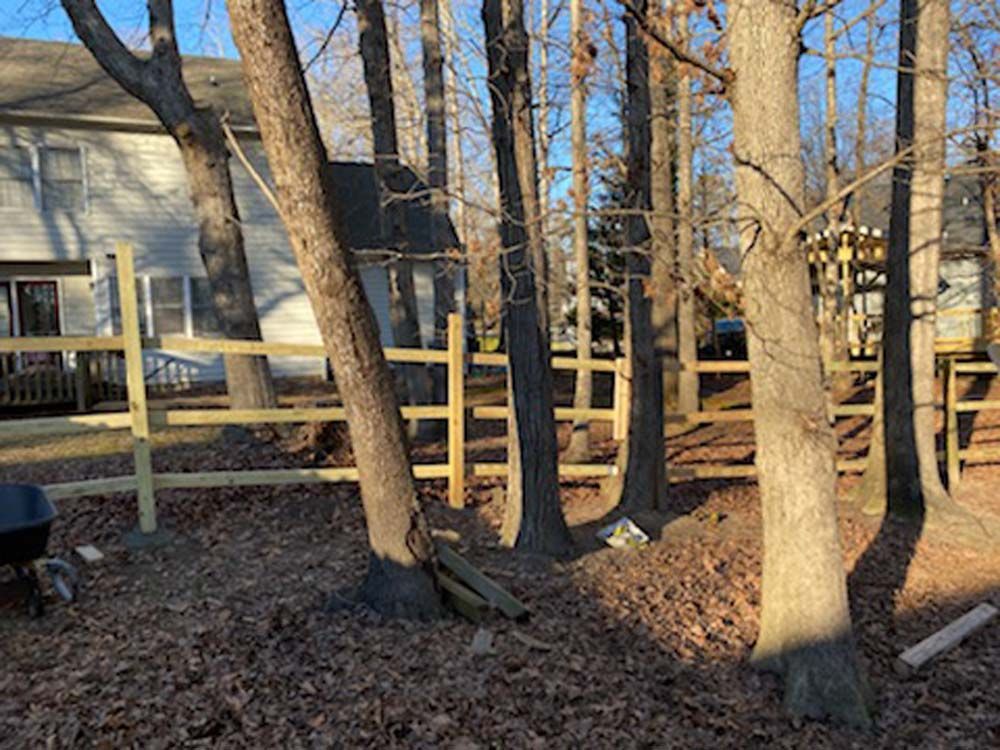 Wooden fence built around trees in a backyard, house in the background.