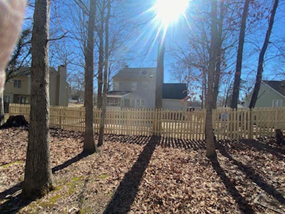 Wooden fence surrounds a backyard with trees, house visible under bright sunlight.