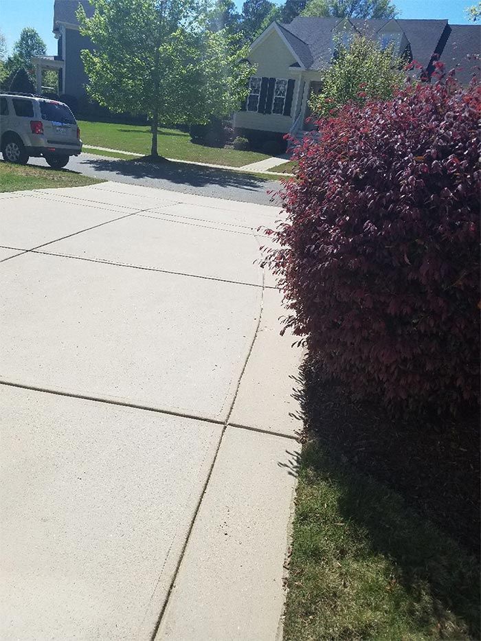 Driveway next to a red bush and grass, with a car and houses in the background.