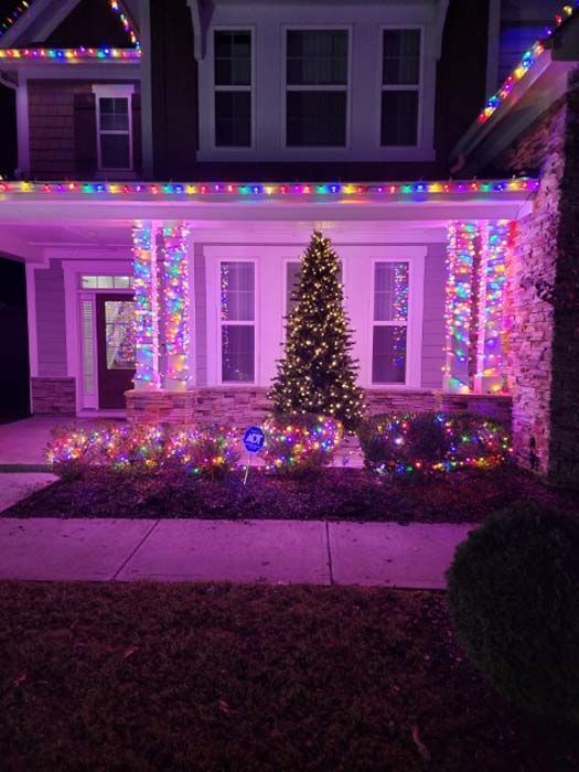 House decorated with purple Christmas lights, including pillars and shrubs, and a tree.