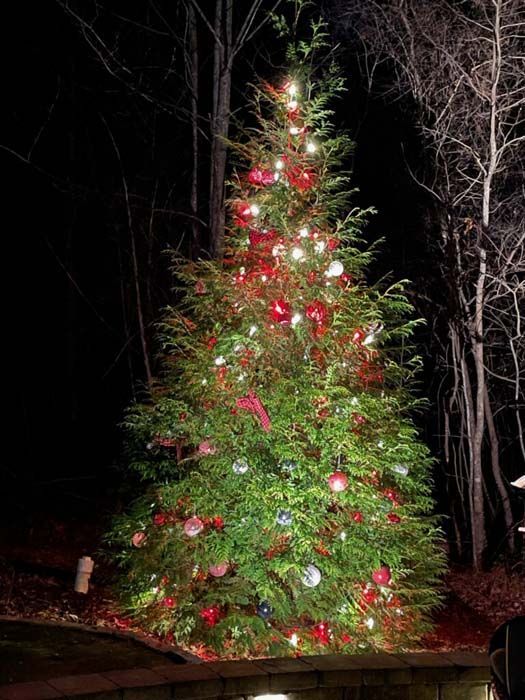 Christmas tree decorated with red, white, and silver ornaments, illuminated by lights, set outdoors at night.