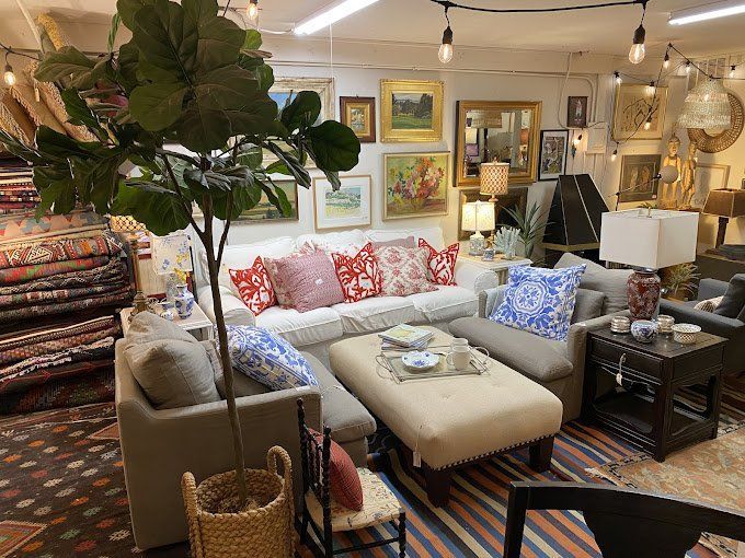 A living room filled with furniture and a plant.