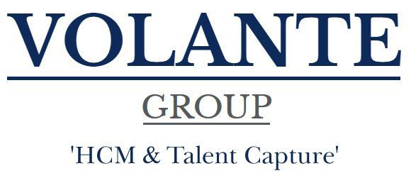 Volante Group logo