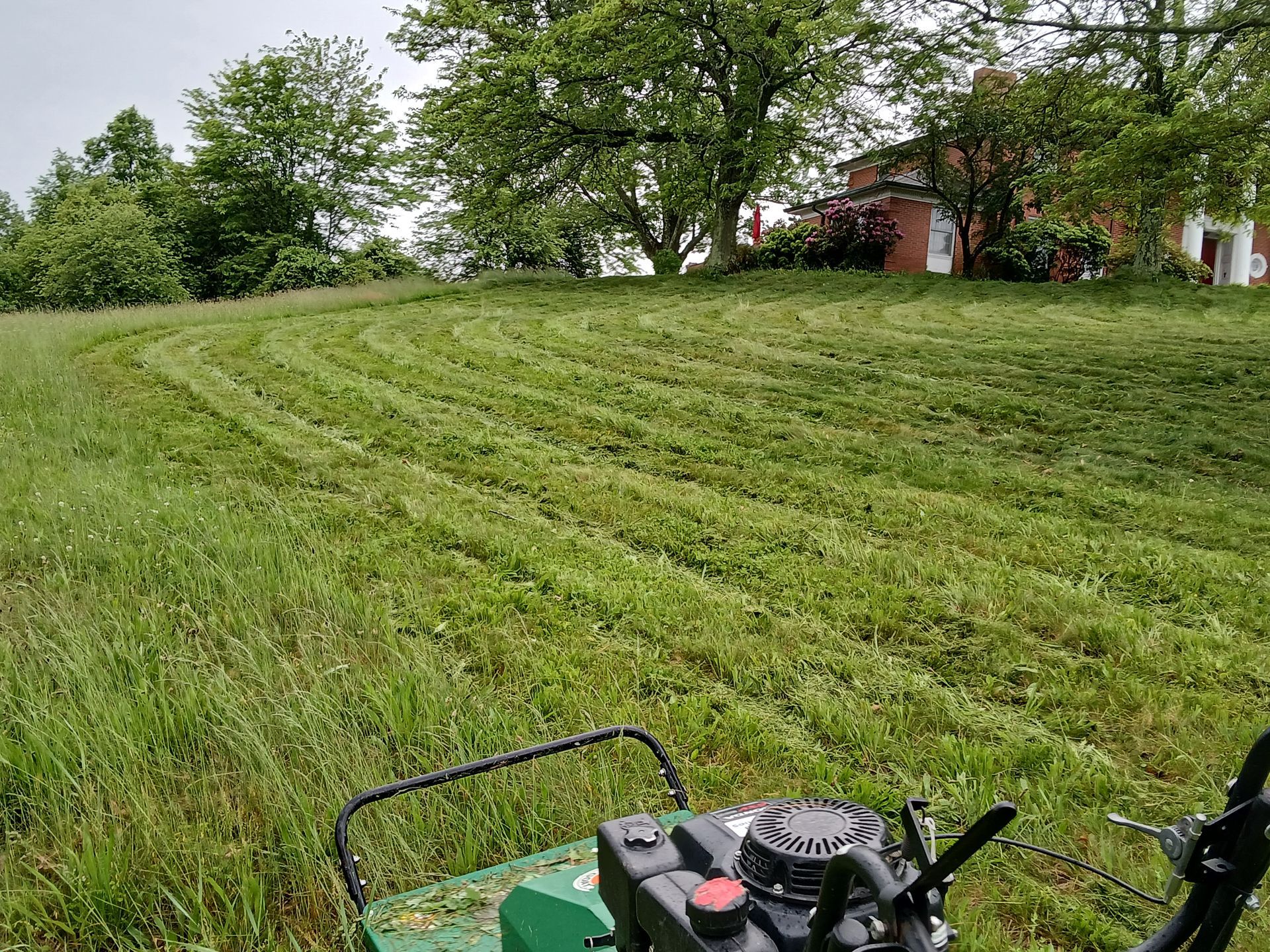 A green lawn mower is cutting grass in a field.