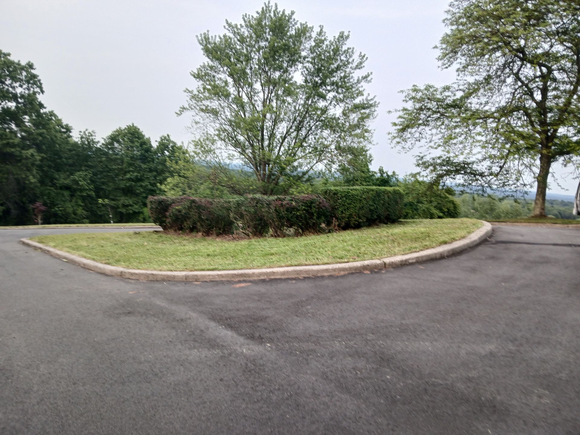 A roundabout with grass and trees on the side of it