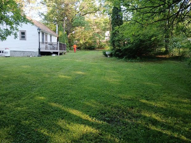 A large lush green yard with a white house in the background.