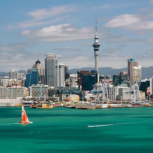 A sailboat is in the water in front of a city skyline