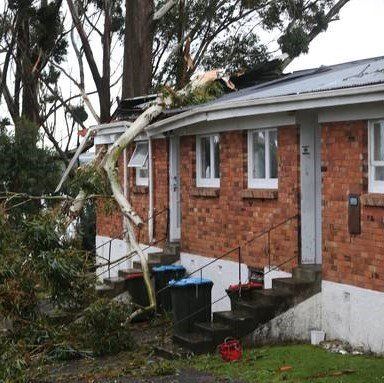 A tree has fallen on the roof of a brick house