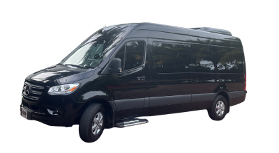 Black Mercedes-Benz passenger van, parked on a surface, with a lowered side step.