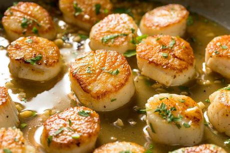Panned Seared Scallops — Gulf Shores, AL — King Neptune's Seafood Restaurant
