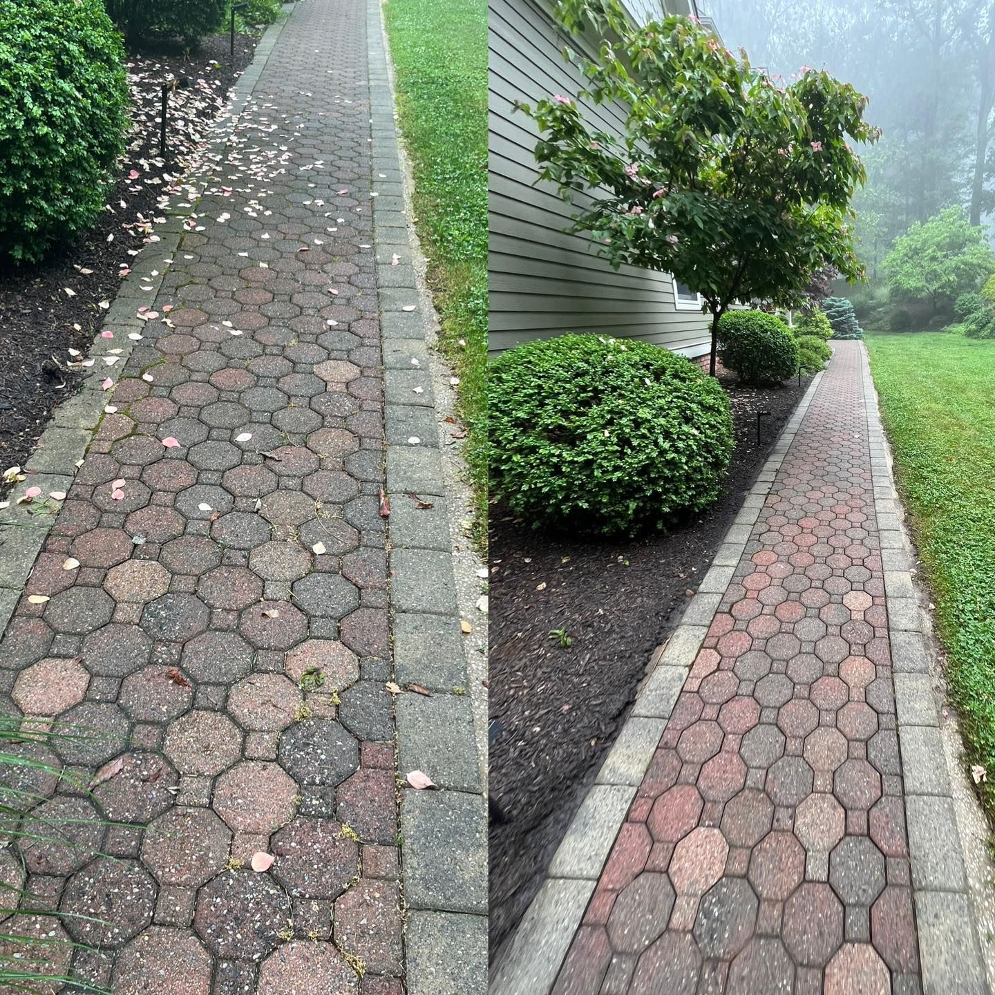 Before and after comparison of a brick walkway, clean on the right, dirty on the left, beside landscaping and grass.