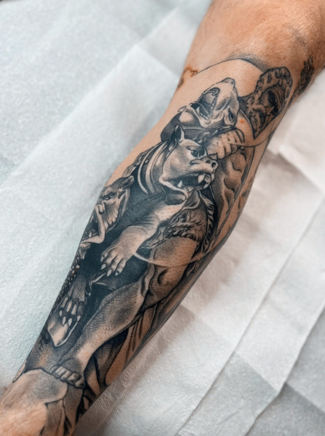Black-and-gray tattoo of a wolf on a person’s forearm, shown close up against white fabric