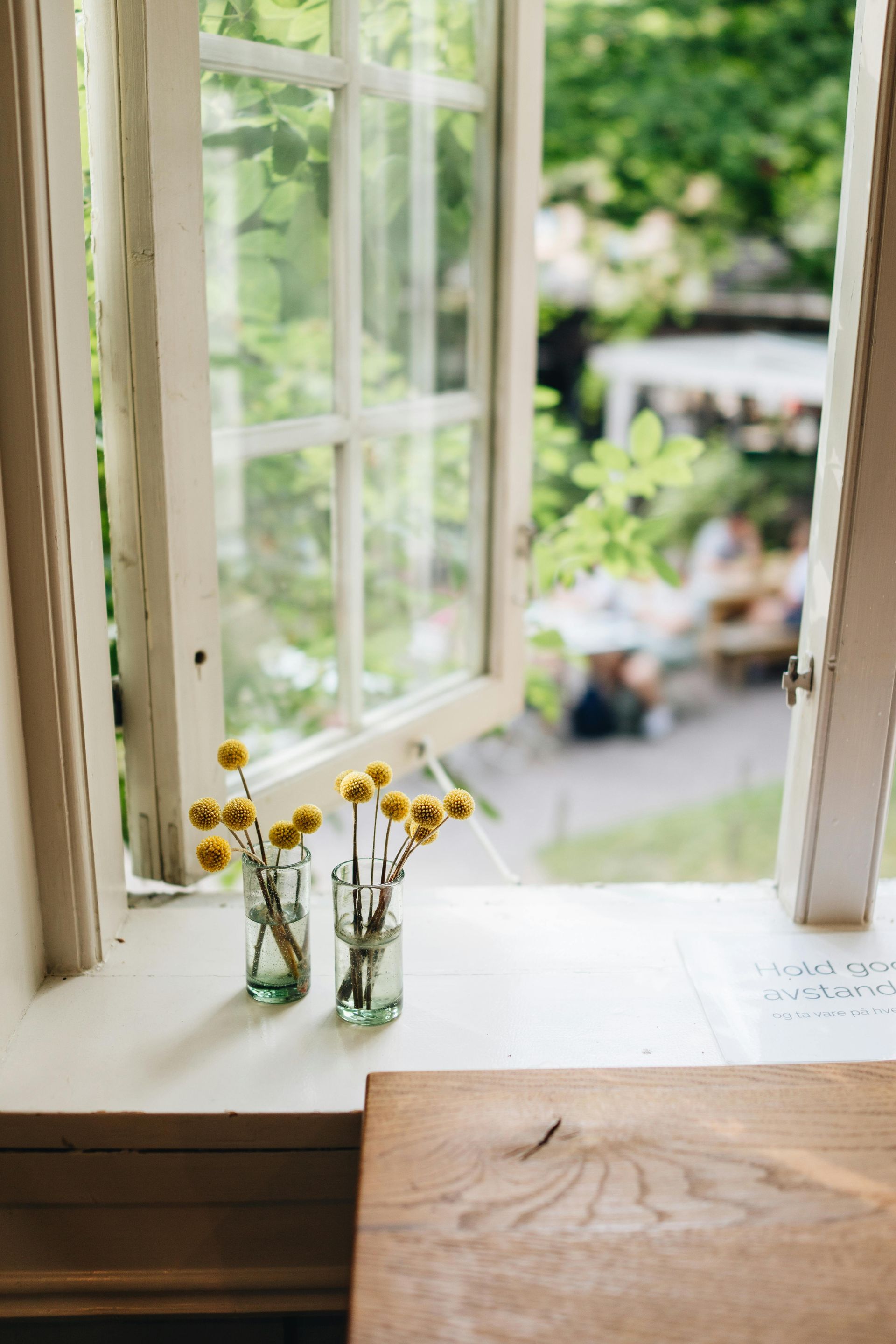 Open window overlooking a garden, with small yellow flowers on the sill.