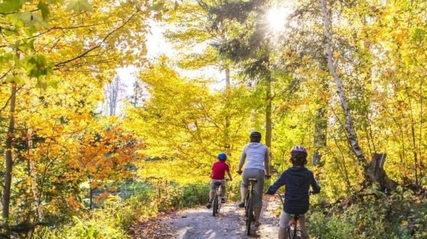 Family biking through sunlit autumn trees.