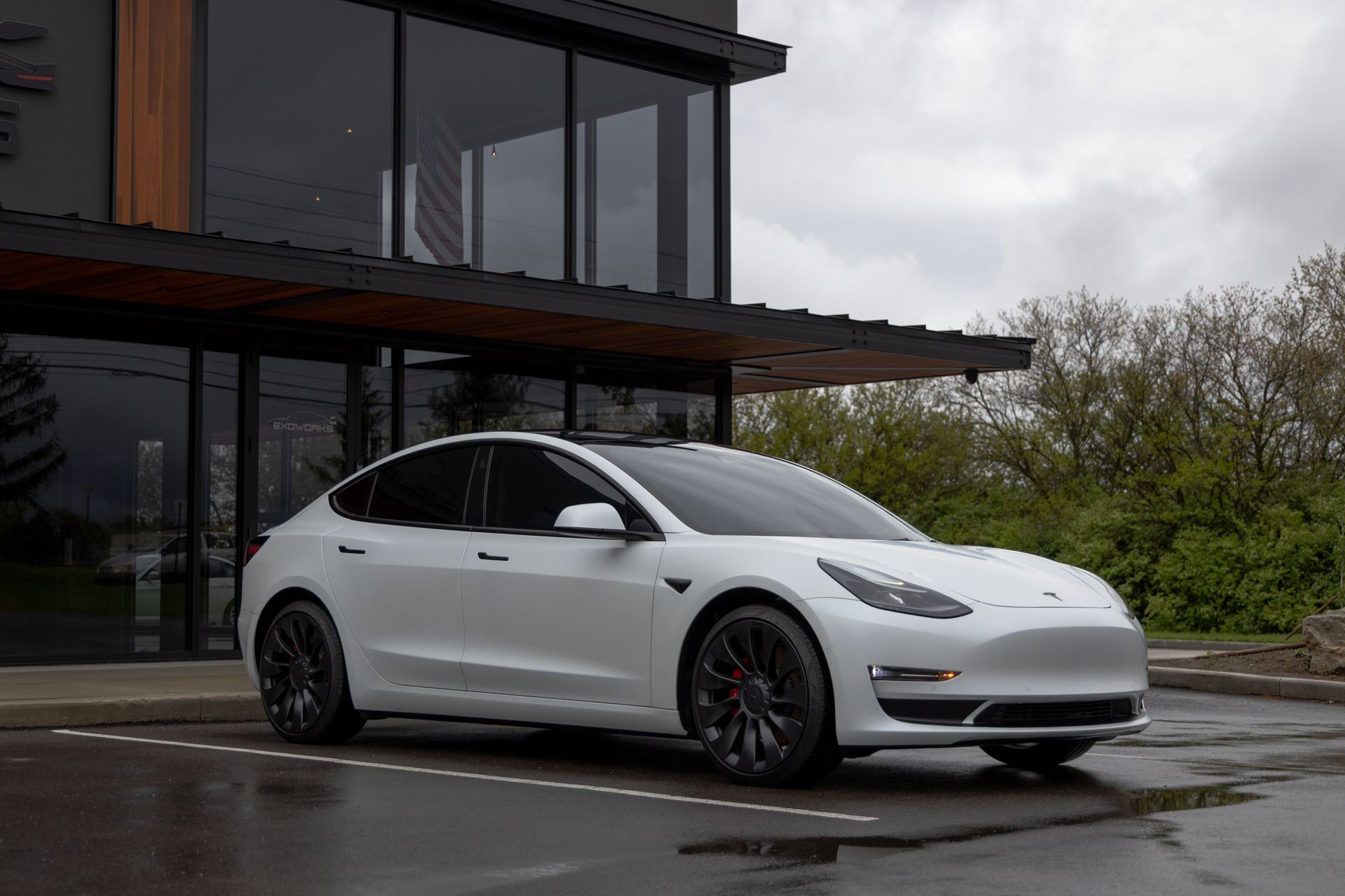 Tesla PPF and Window Tinting