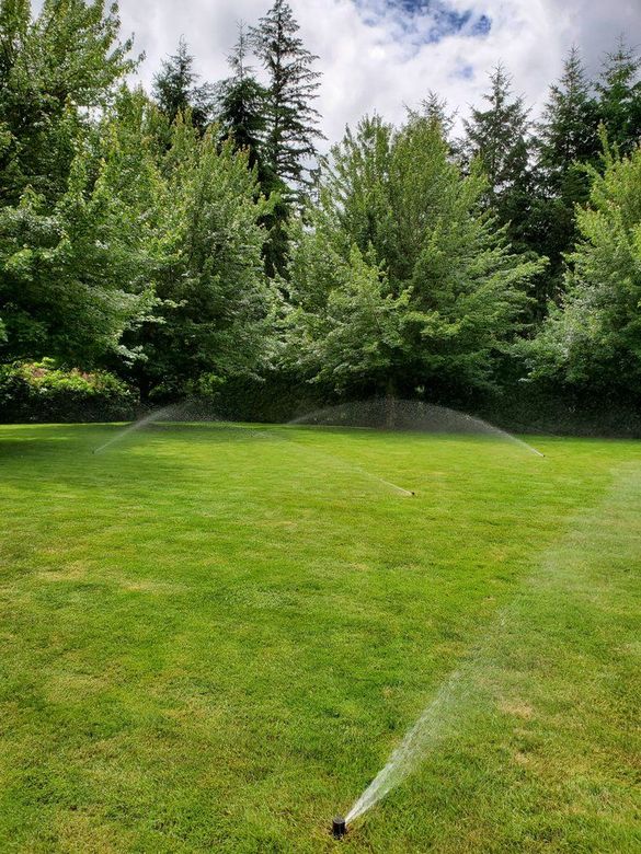 Lawn sprinkler spraying water across a green yard with trees in the background