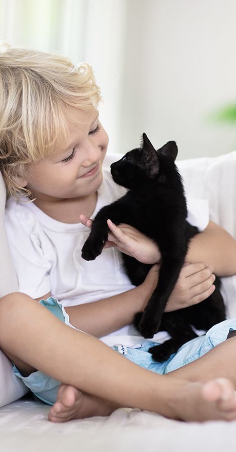 A little boy is sitting on a couch holding a black kitten.