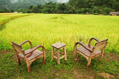 Chairs for relaxing paddy fields