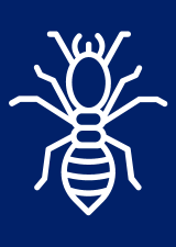 a white termite icon on a blue background .