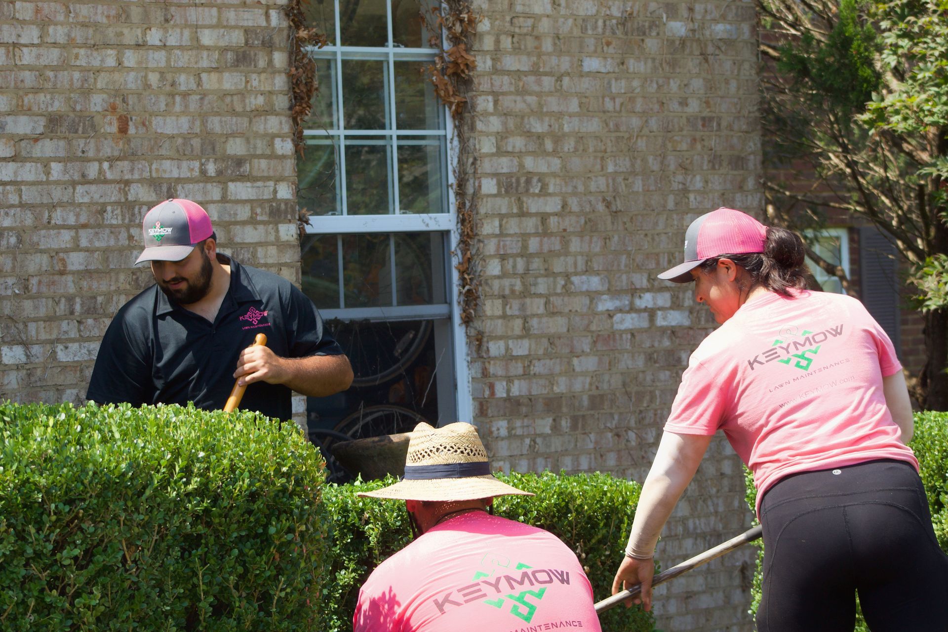 Landscape Maintenance