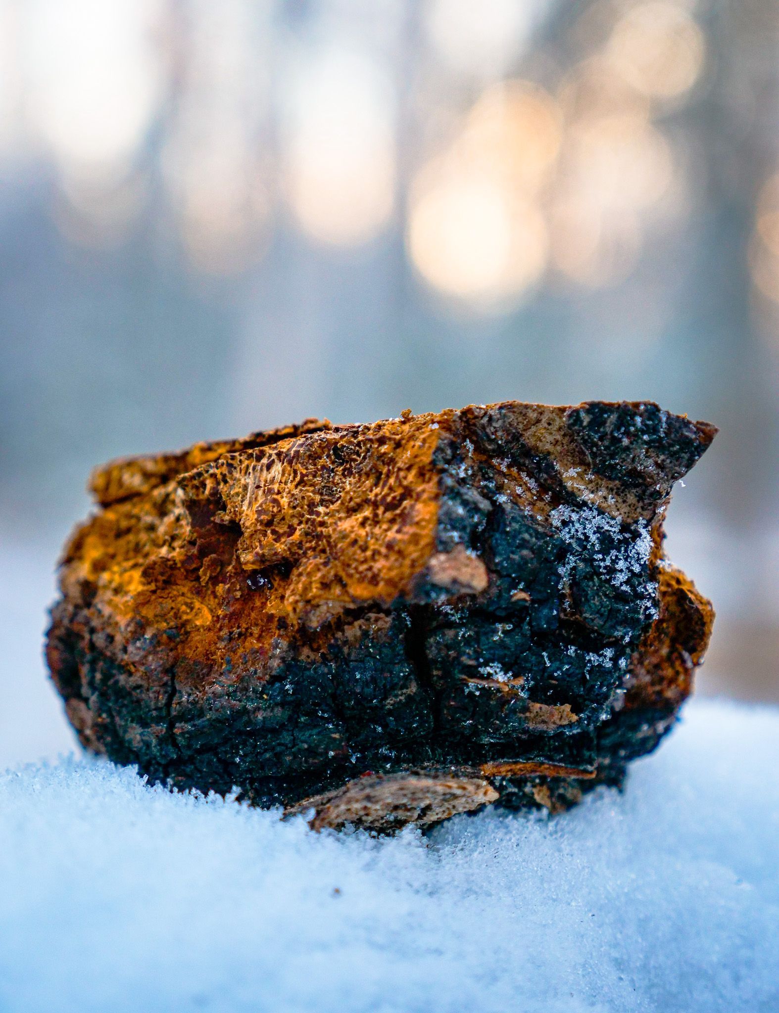 A piece of wood is sitting on top of a pile of snow.
