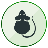 rodent icon