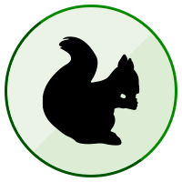 squirrel icon