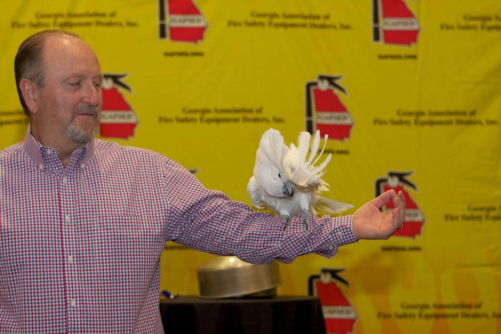 A man in a plaid shirt is holding a white cockatoo on his arm
