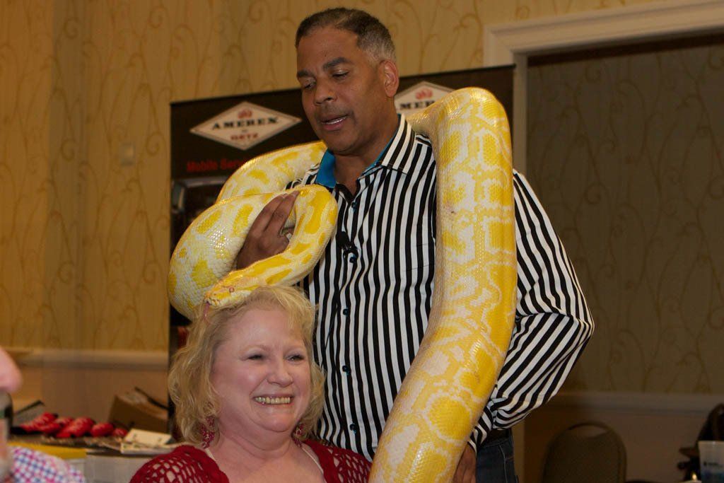 GAFSED conference funny yellow snake