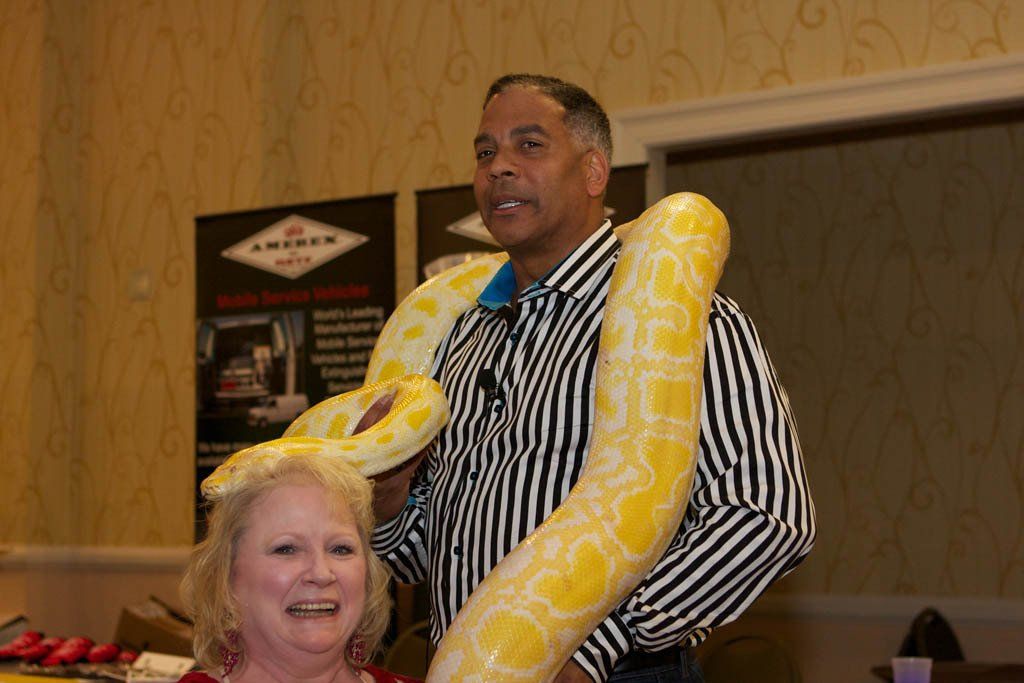 A man is holding a large yellow snake around his neck.
