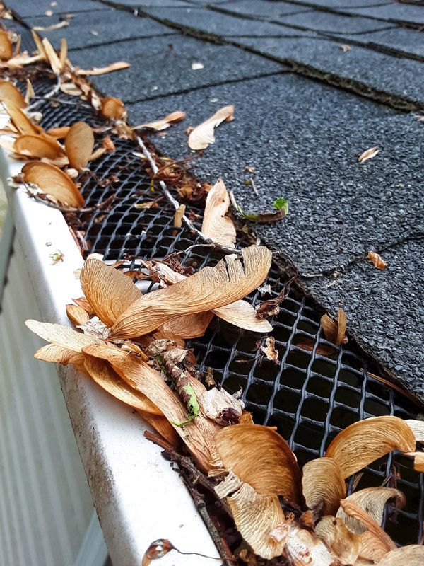 A close up of a gutter with leaves on it