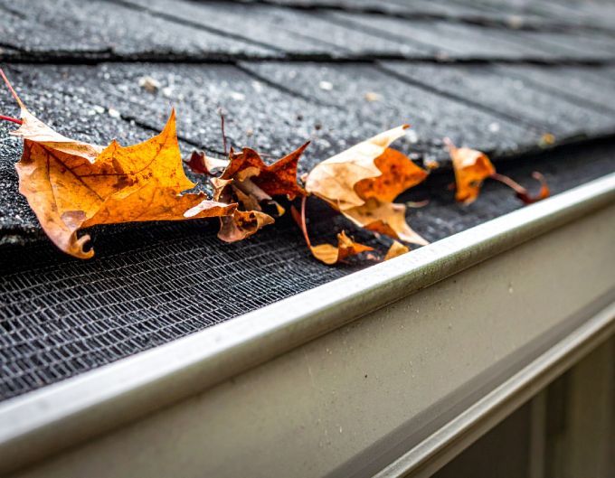 Fallen leaves on a roof with a gutter guard, near an overhanging gutter.