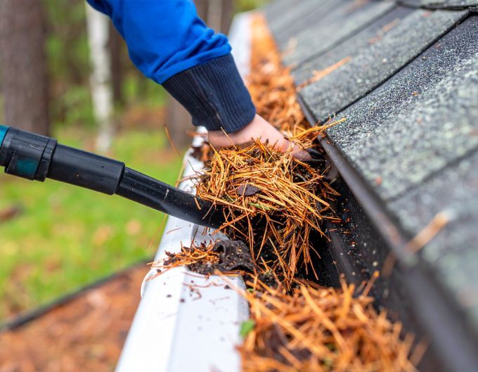 Person cleaning a gutter filled with leaves and pine needles with a handheld tool.